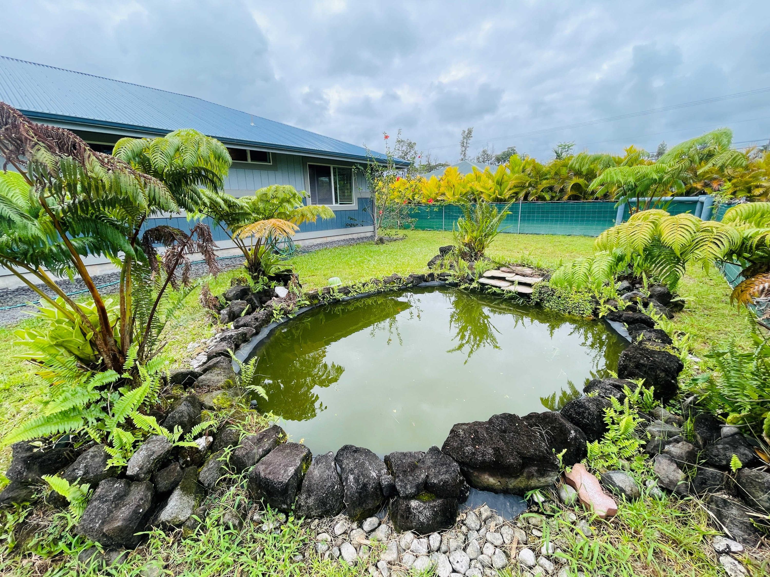 Peaceful backyard oasis featuring a natural rock-lined koi pond surrounded by lush ferns and tropical plants, offering a perfect spot for relaxation.